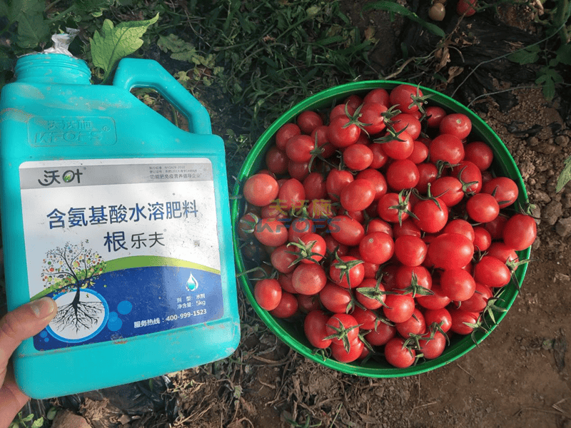 大通彩票app線路輔助-一圖讀懂《廣東省推動農(nóng)業(yè)機(jī)械報廢更新工作方案》