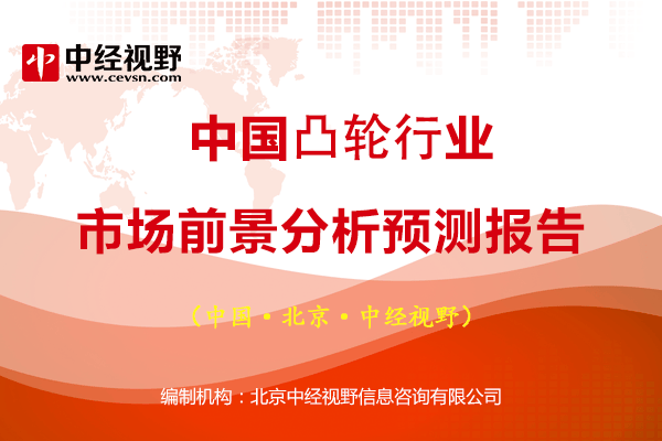 中國凸輪行業(yè)市場前景分析預測報告